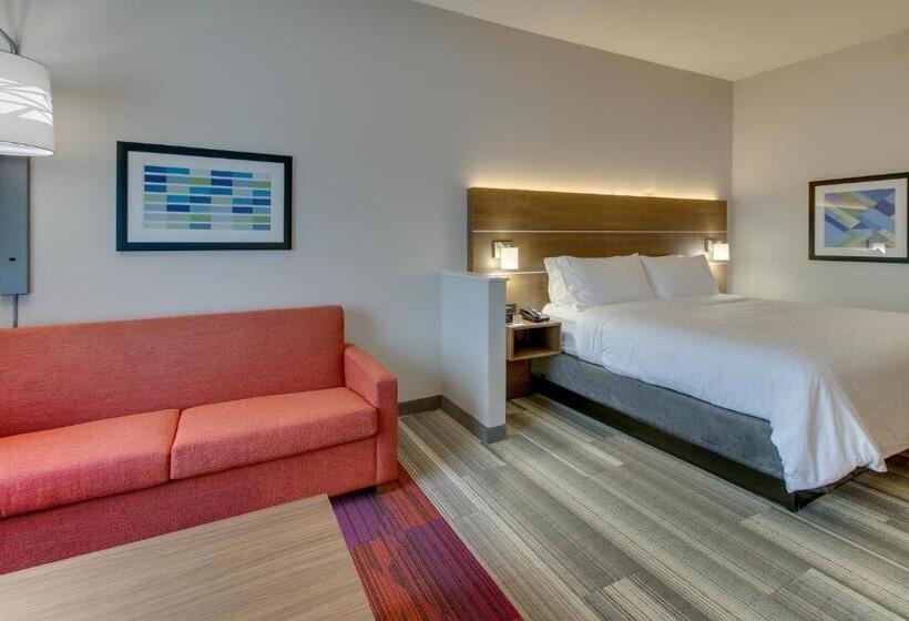 适合残疾人士使用的套间, Holiday Inn Express & Suites   Nashville Metrocenter Downtown, An Ihg