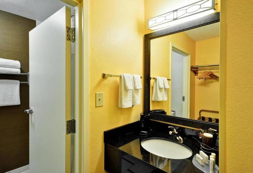 キングサイズベッドのスタンダードルーム, Fairfield Inn & Suites Dallas Medical/market Center