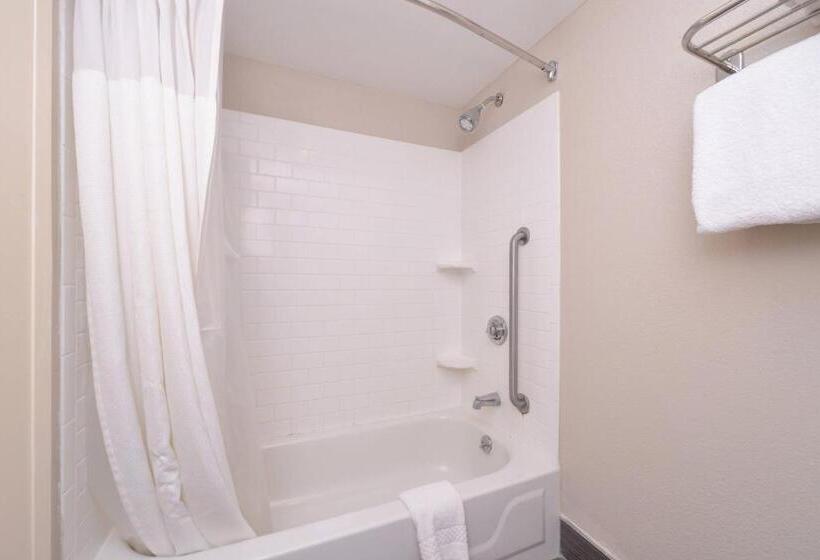 스탠다드 룸 킹사이즈 침대, Fairfield Inn & Suites Hattiesburg / University