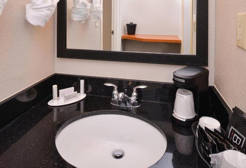 장애인을 위한 킹사이즈 침대 스탠다드 룸, Fairfield Inn & Suites Hattiesburg / University