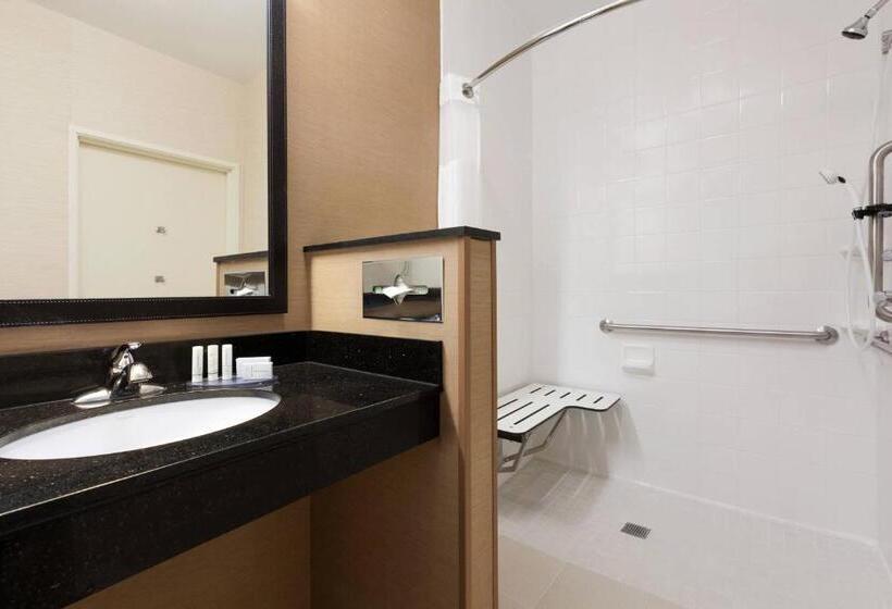 اتاق استاندارد با تخت بزرگ, Fairfield Inn & Suites Omaha East/council Bluffs, Ia
