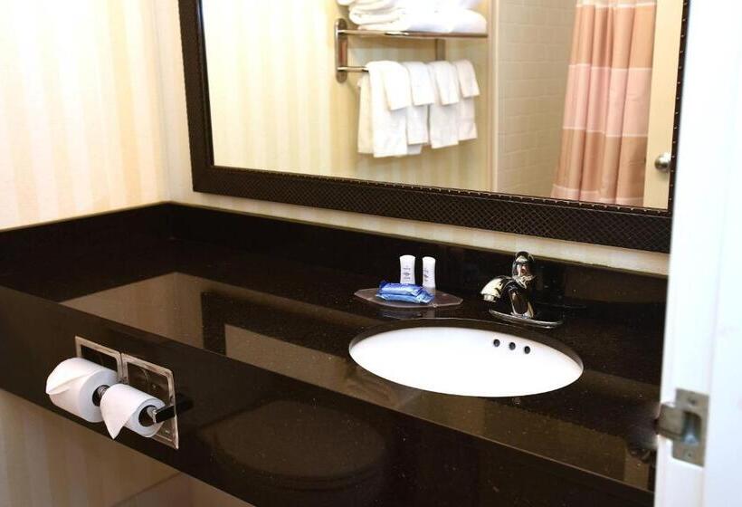 اتاق استاندارد با تخت بزرگ, Americinn By Wyndham Topeka
