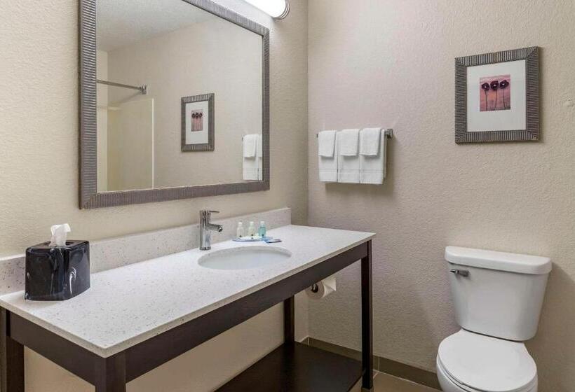 Стандартный Номер Кровать Кинг, Quality Inn & Suites