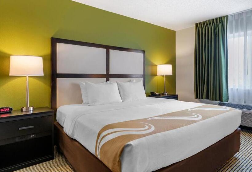 Номер Стандарт Кровать Кинг Адаптированный для Инвалидов, Quality Inn & Suites