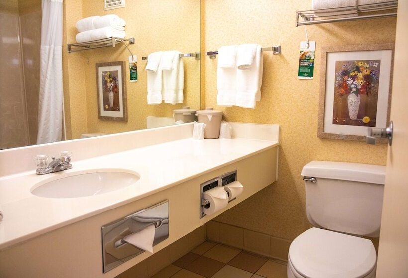 اتاق کلاس بیزنس, Wingate By Wyndham Sioux City