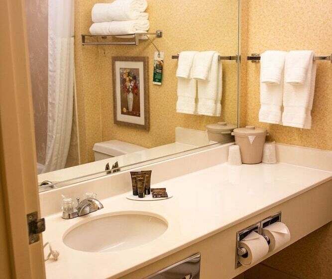 اتاق کلاس بیزنس, Wingate By Wyndham Sioux City