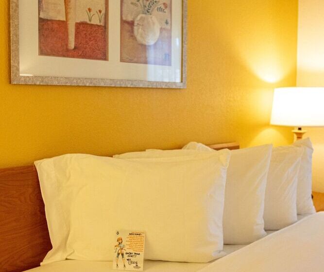 اتاق کلاس بیزنس, Wingate By Wyndham Sioux City