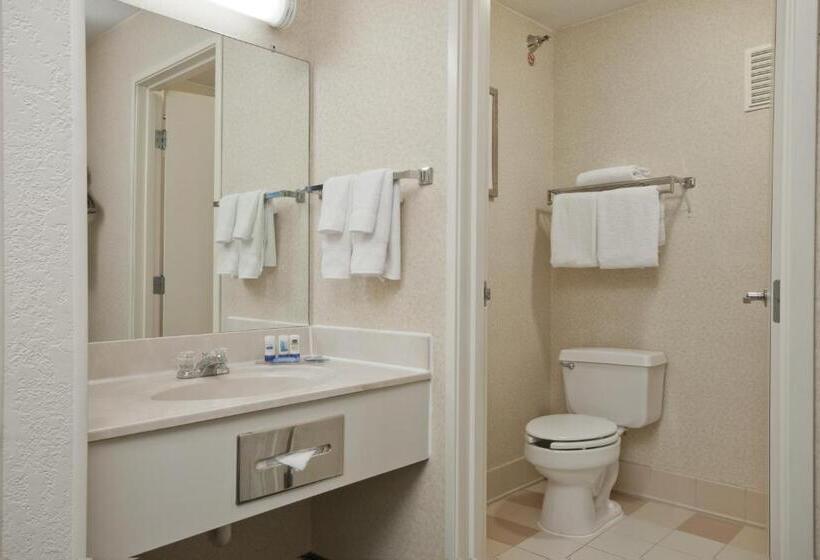 اتاق استاندارد با تخت بزرگ, Wingate By Wyndham Sioux City