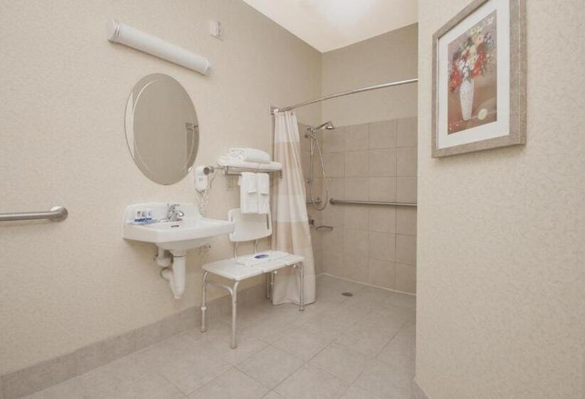 اتاق استاندارد برای معلولان, Wingate By Wyndham Sioux City