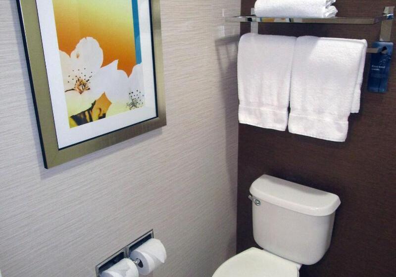 Стандартный Номер Кровать Кинг, Fairfield Inn & Suites By Marriott Denver Tech Center/ South