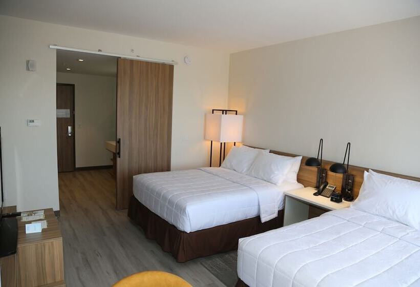 اتاق لوکس, Wyndham Garden North Bergen   Secaucus