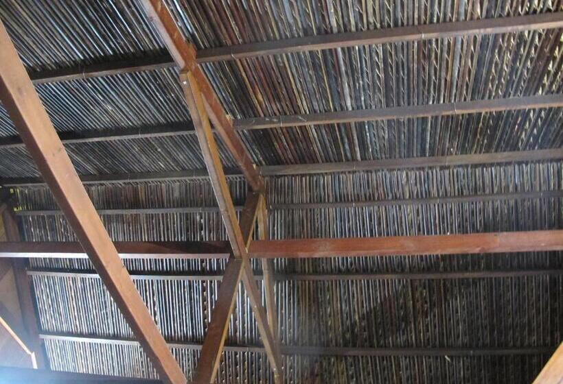 اتاق استاندارد با تخت بزرگ, Homestay Xóm Dừa Nước