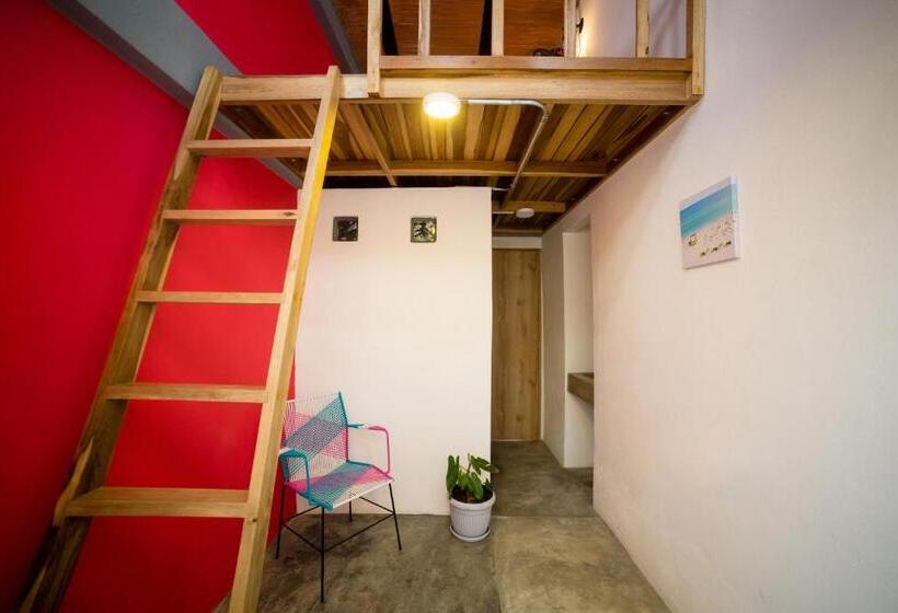 اتاق استاندارد, Imagine Hostel