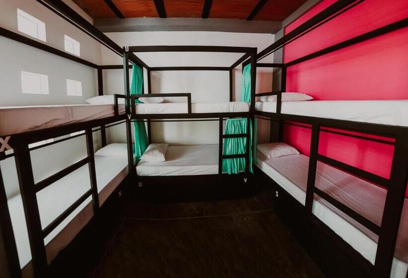 اتاق خانوادگی با سرویس بهداشتی مشترک, Imagine Hostel