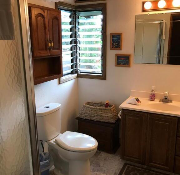 Номер Deluxe, Hale Maluhia Country Inn