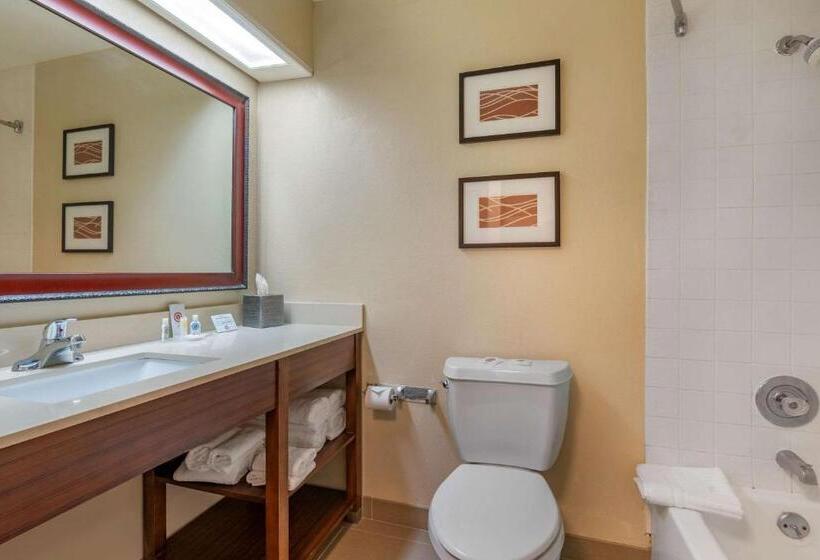 스탠다드 룸 킹사이즈 침대, Comfort Inn Fairfield Napa Valley Area