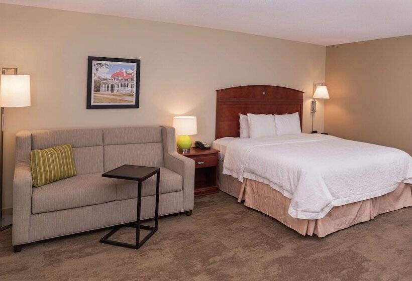 חדר סטנדרט מיטה זוגית, Hampton Inn Columbia Northeastfort Jackson Area