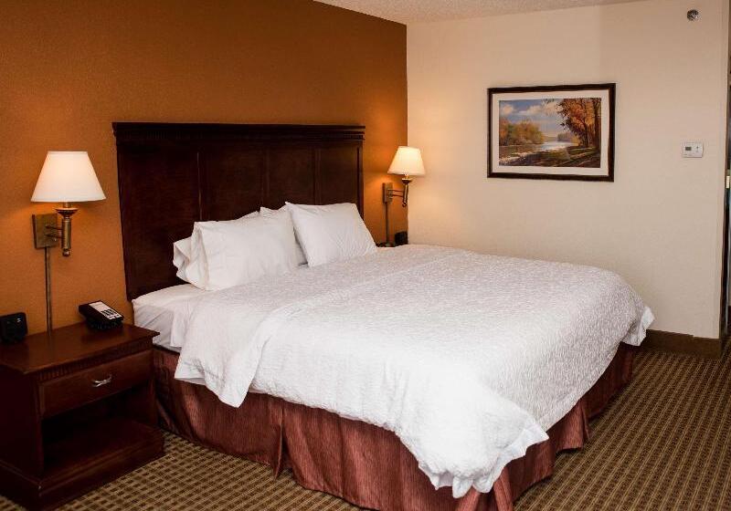 스탠다드 룸 킹사이즈 침대, Hampton Inn North Platte
