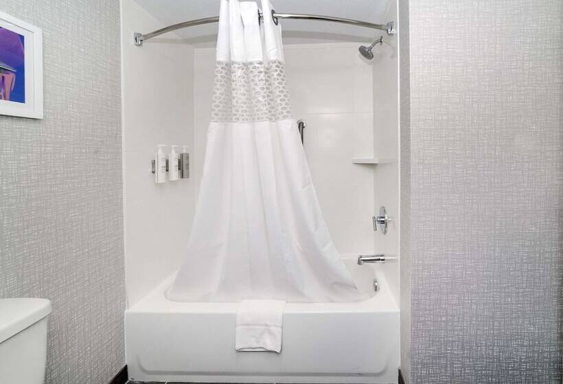 전망 스탠다드 룸 더블 침대, Hampton Inn Port Charlotte