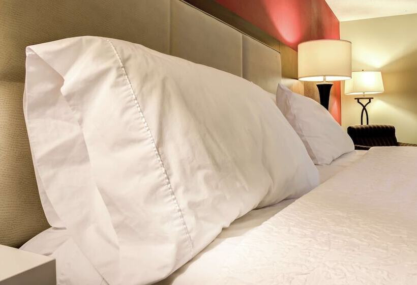 Номер Стандарт Адаптированный для Инвалидов, Hampton Inn St Joseph