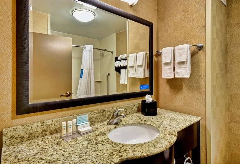 Номер Стандарт 2 Двуспальные Кровати, Hampton Inn Starkville