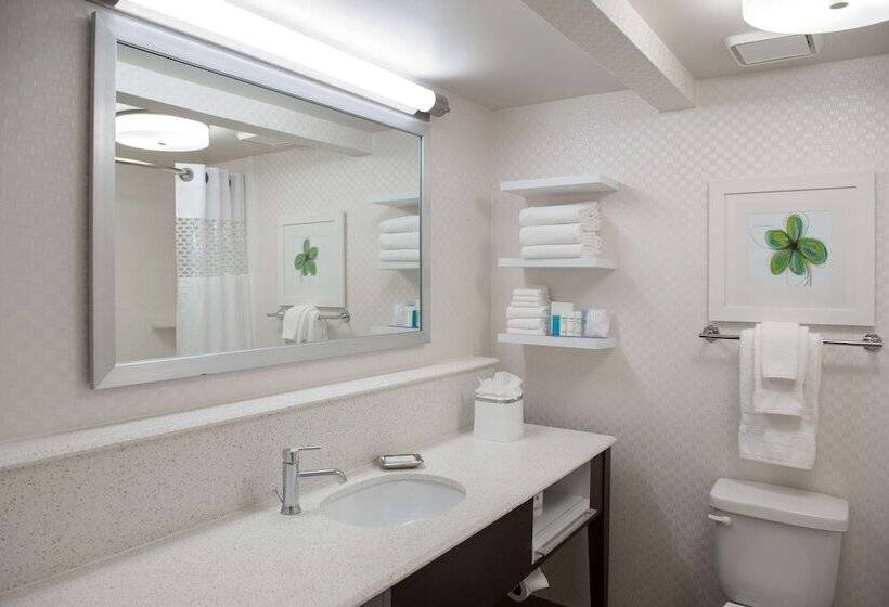 Номер Стандарт, Hampton Inn & Suites New Orleans Elmwood/clearview Pkway, La