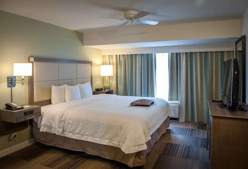 Люкс, Hampton Inn & Suites New Orleans Elmwood/clearview Pkway, La