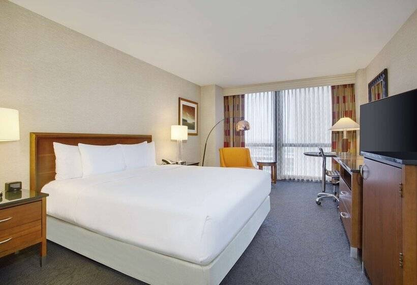 商务房间, Hilton Chicago O'Hare Airport