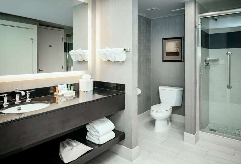Студио Стандарт Кровать Кинг, Hilton Grand Vacations Club Seaworld® Orlando