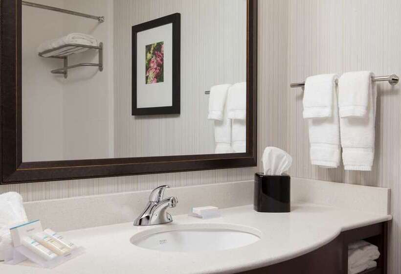 キングサイズベッドのスタンダードルーム, Hilton Minneapolis