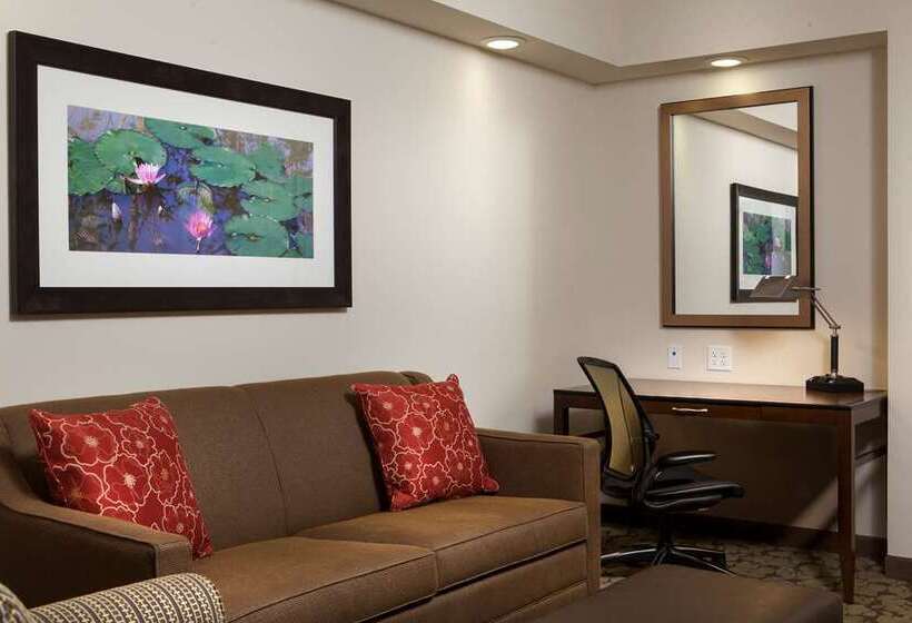キングサイズベッドのスタンダードルーム, Hilton Minneapolis