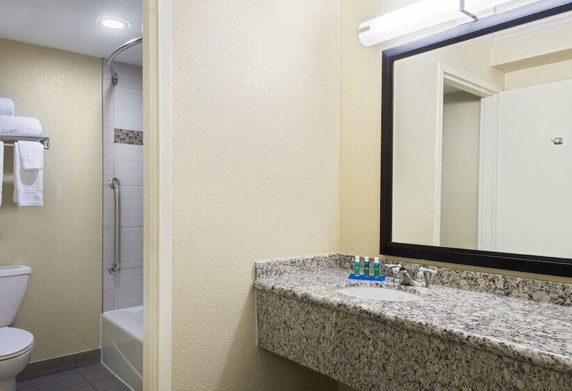스탠다드 룸, Holiday Inn Express Hotel & Suites Ft. Lauderdale Plantation, An Ihg