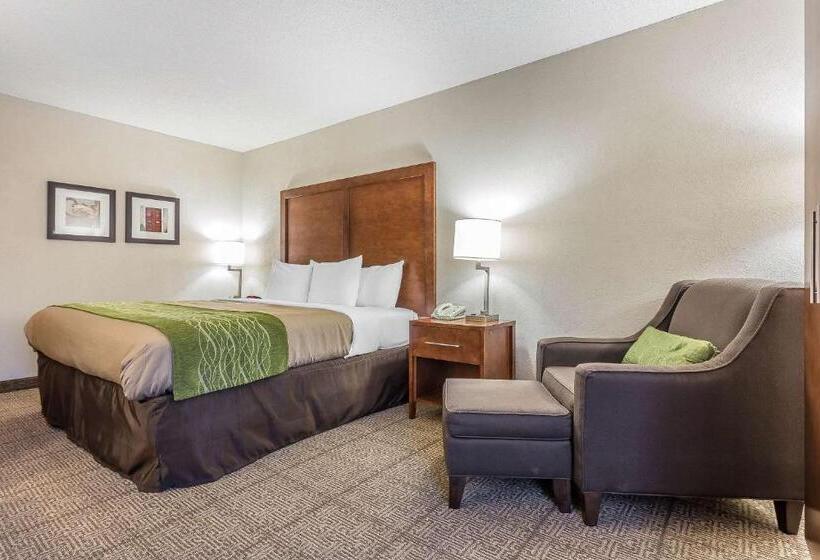Стандартный Номер Кровать Кинг, Quality Inn Summervillecharleston