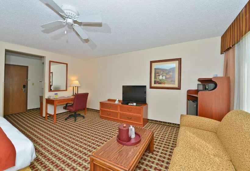 스탠다드 룸 킹사이즈 침대, Best Western Marion