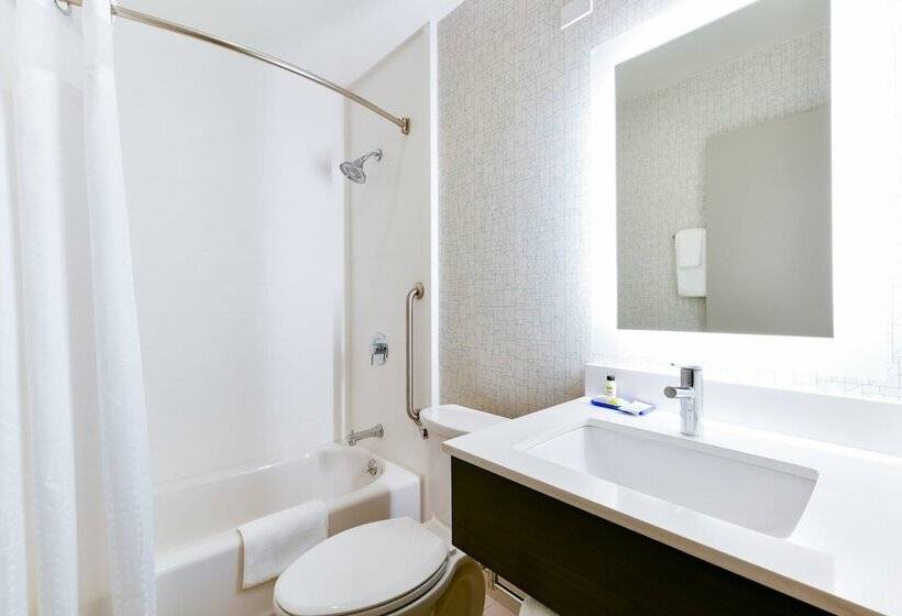 스탠다드 룸, Holiday Inn Express Mill Valley San Francisco Area, An Ihg