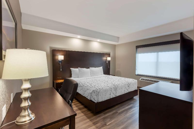 Deluxe Szoba Kind Size Bed, Holiday Inn Express & Suites Springfield, An Ihg