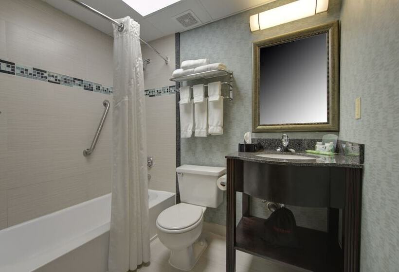 Номер Стандарт, Holiday Inn Plainview Long Island, An Ihg