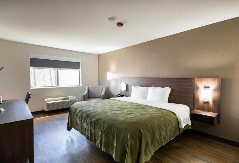 스탠다드 룸 킹사이즈 침대, Quality Inn