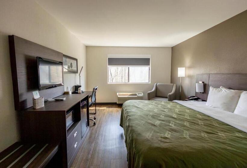스탠다드 룸 킹사이즈 침대, Quality Inn