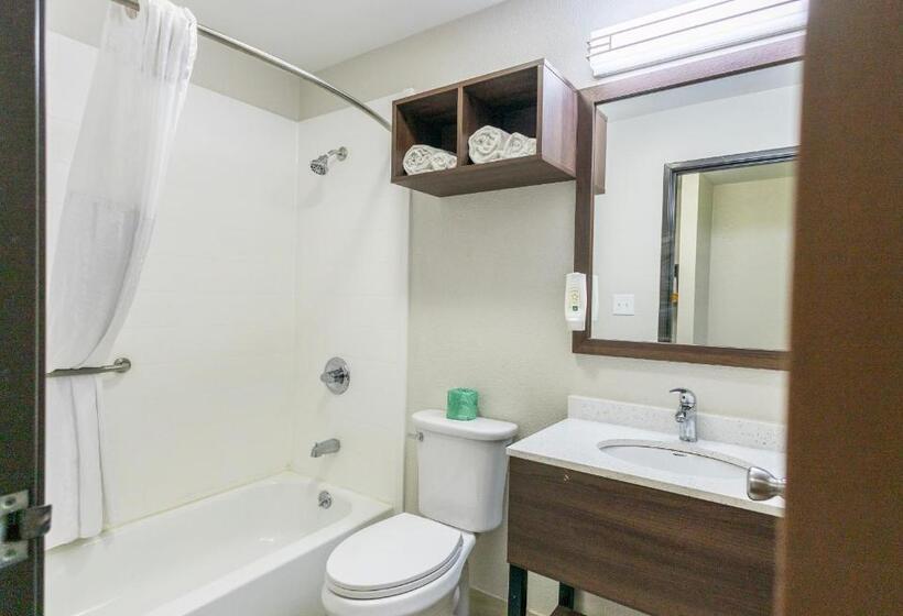 스탠다드 룸, Quality Inn