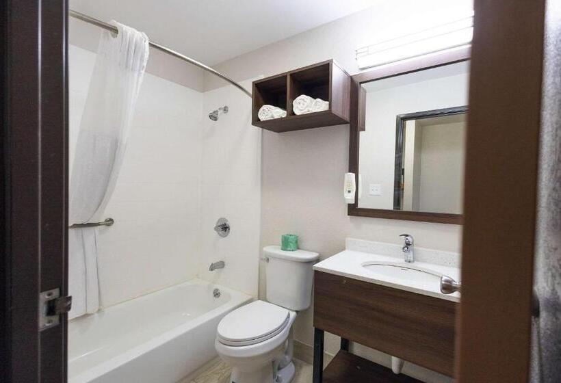 스탠다드 룸, Quality Inn