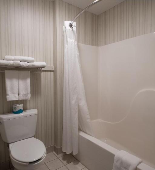 اتاق استاندارد با تخت بزرگ, Miles City Hotel & Suites