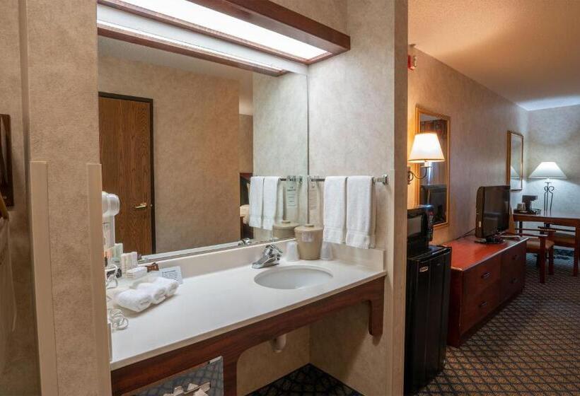 اتاق استاندارد با تخت بزرگ, Miles City Hotel & Suites