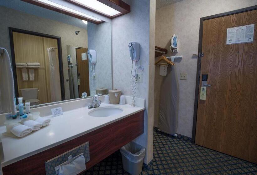 اتاق لوکس, Miles City Hotel & Suites