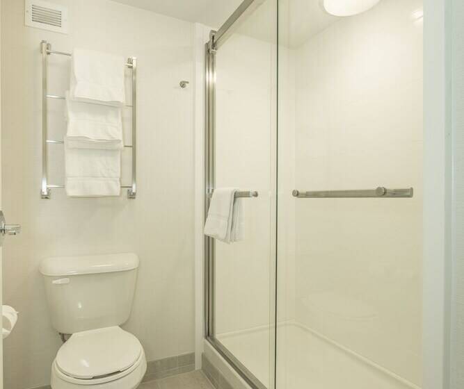 Номер Стандарт 2 Двуспальные Кровати, Holiday Inn Hotel And Suites Peachtree City, An Ihg