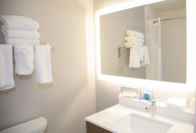 スイート, Holiday Inn Express & Suites Colorado Springs North, An Ihg