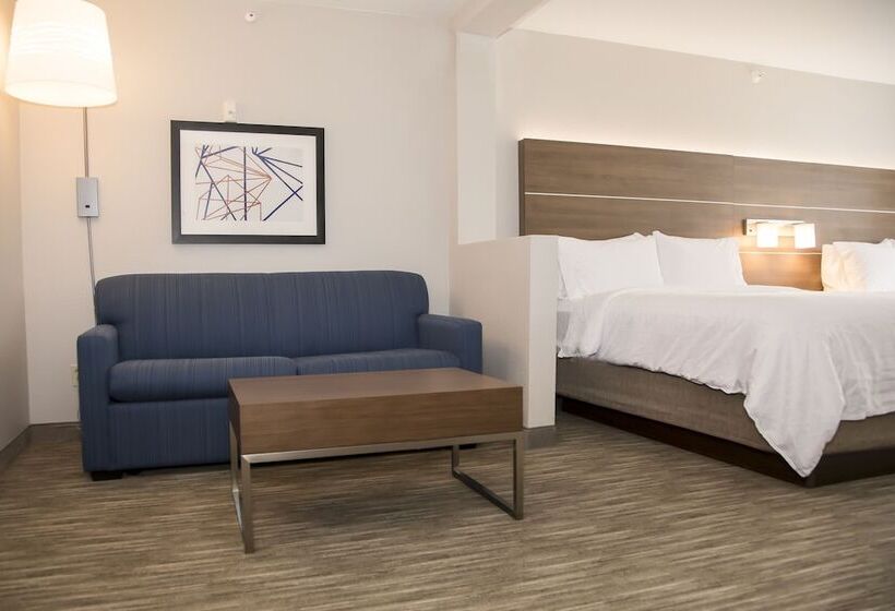 スイート, Holiday Inn Express & Suites Colorado Springs North, An Ihg