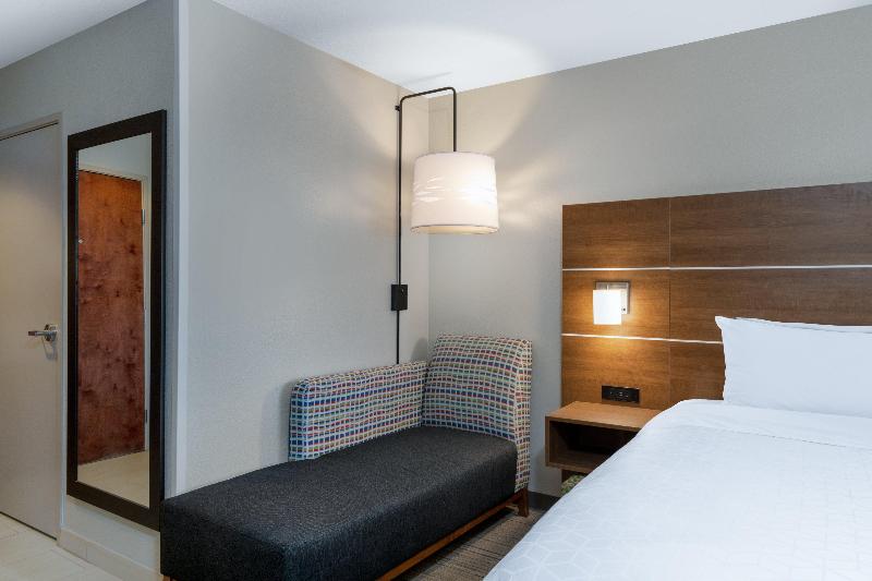 キングサイズベッドのスタンダードルーム, Holiday Inn Express & Suites Colorado Springs North, An Ihg