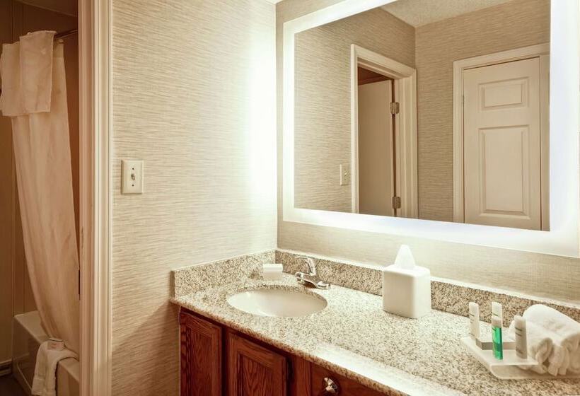 סוויטת 2 חדרי שינה, Homewood Suites By Hilton Atlantagalleria/cumberland