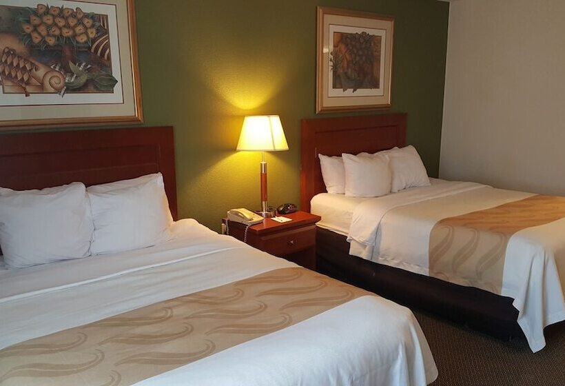 带2个双人床的标准工作室, Quality Inn & Suites Conference Center